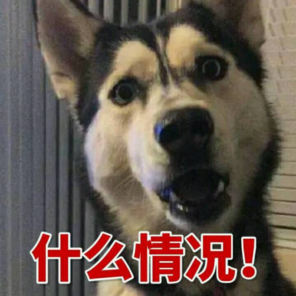 收到违章短信别慌！4步教你凭证据申诉撤销误拍违章