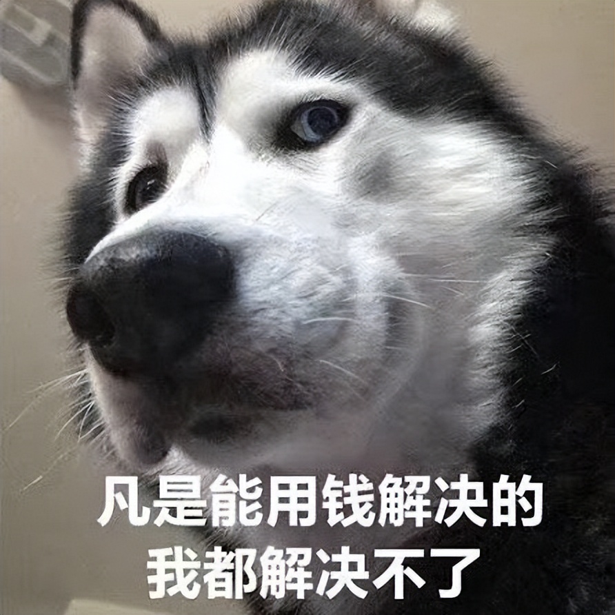 违章证据_交管12123误拍撤销_泉州违章申诉