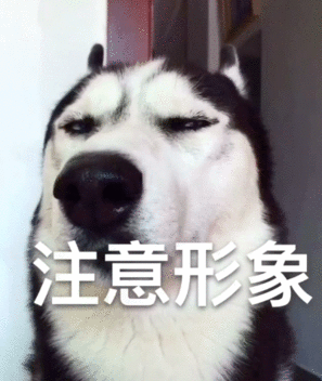 违章证据_泉州违章申诉_交管12123误拍撤销