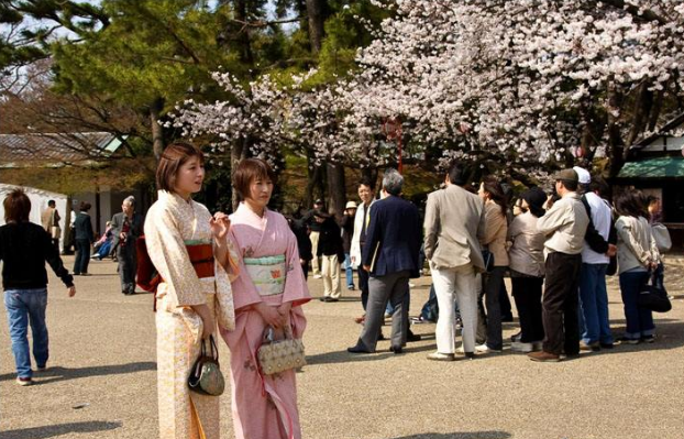 日本大学课程一般都包括哪些?