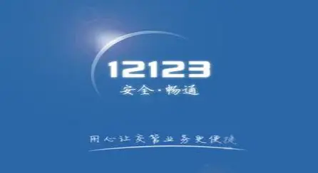 违章证据_交管12123 APP查询违章_车辆违章查询方法