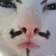 高速交通事故处理_高速应急车道停车_高速驾驶安全距离