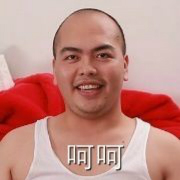 高速应急车道停车_高速驾驶安全距离_高速交通事故处理