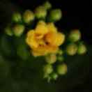 高速应急车道停车_高速驾驶安全距离_高速交通事故处理