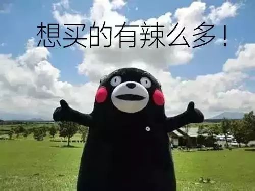 春节前夕快递停运_快递公司全年无休_春节快递停运通知