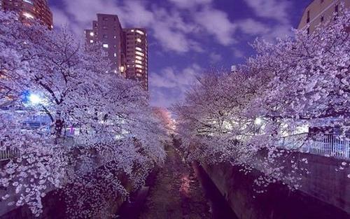 2024高中课程辅导培训机构十大top排行榜一览