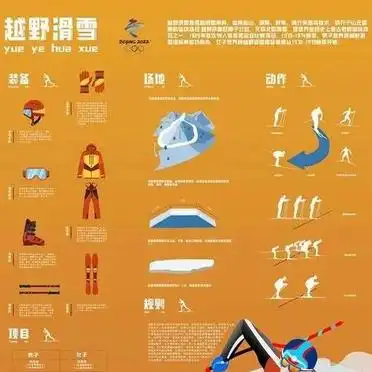 冬季奥运会15大精彩项目_冬奥会比赛项目_跳台滑雪俯式冰橇花样滑冰