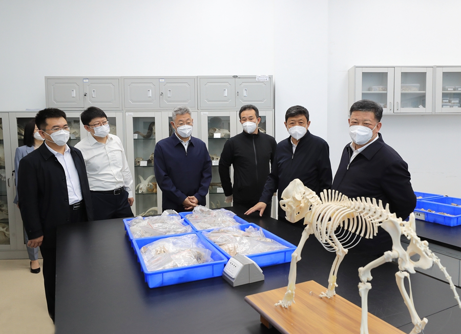 吉林大学生物考古实验室_吉林大学考古与艺术博物馆_大学实验室