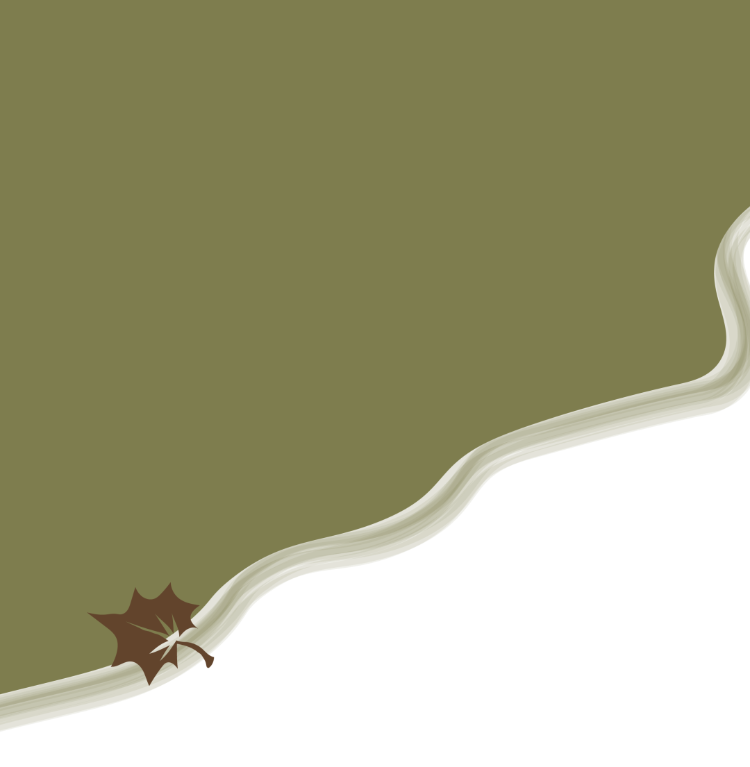 大学生心理健康特征_大学心理健康_大学生心理健康指南