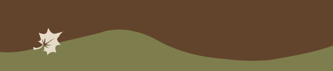 大学生心理健康特征_大学心理健康_大学生心理健康指南