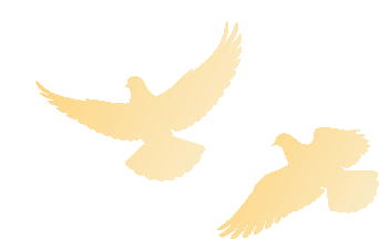 2026年全国两会 农业高校 两会精神_大学学科建设