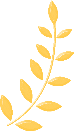 大学学科建设_2026年全国两会 农业高校 两会精神