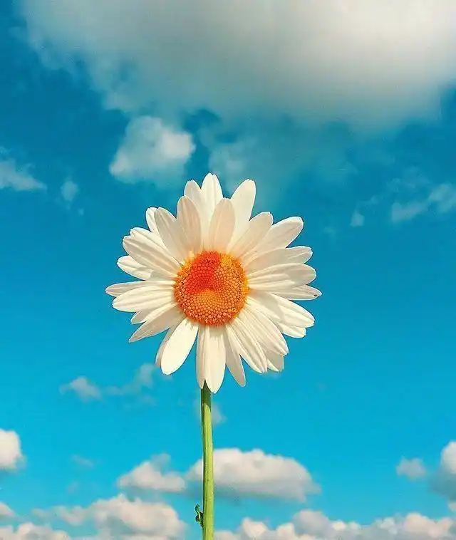 高考冲刺励志语：努力拼搏，不负时光，迎接属于你的辉煌