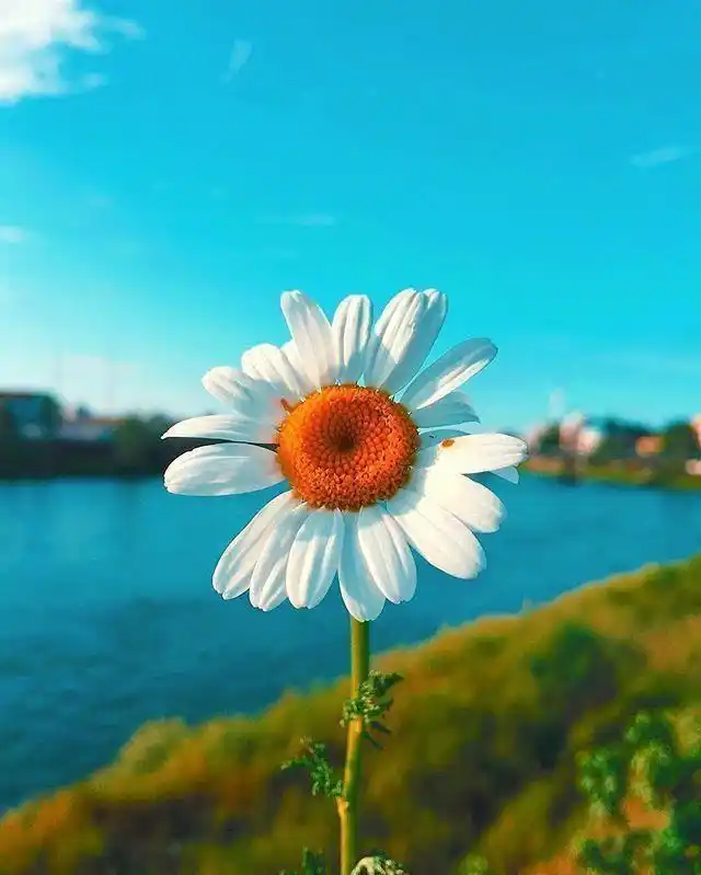 坚持努力到感动自己_高考冲刺_拼搏到无能为力