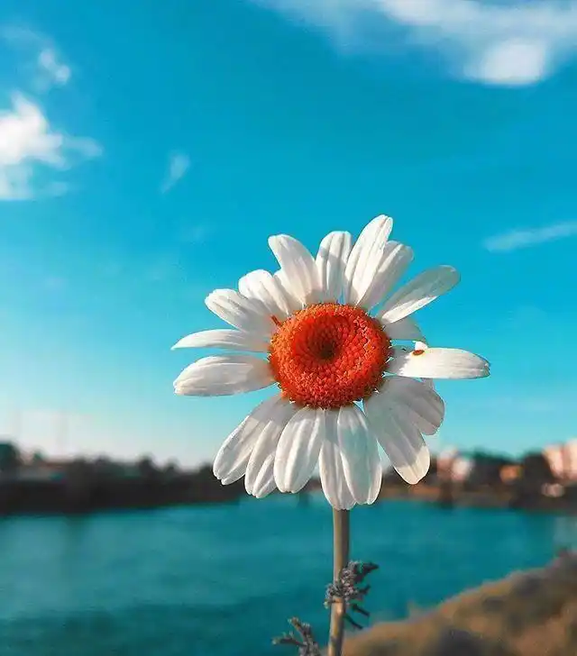 拼搏到无能为力_高考冲刺_坚持努力到感动自己