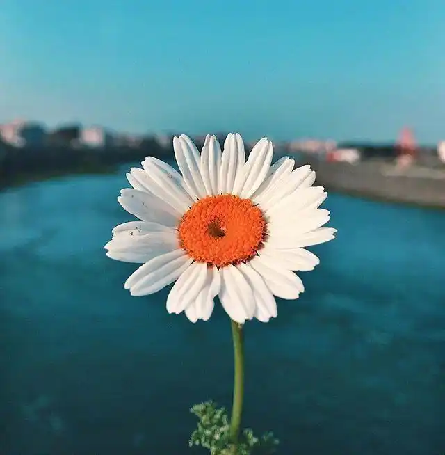 高考冲刺_拼搏到无能为力_坚持努力到感动自己