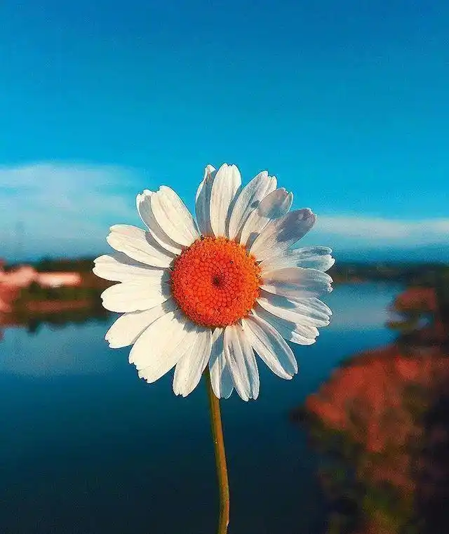 拼搏到无能为力_高考冲刺_坚持努力到感动自己