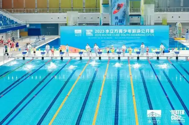 北京冬奥会场馆赛后运营情况_国家体育场鸟巢赛后运营_冬奥会场馆