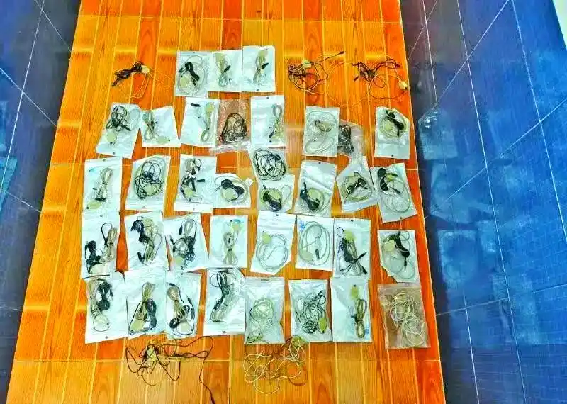 高考作弊_高考作弊法律后果_高考作弊影响