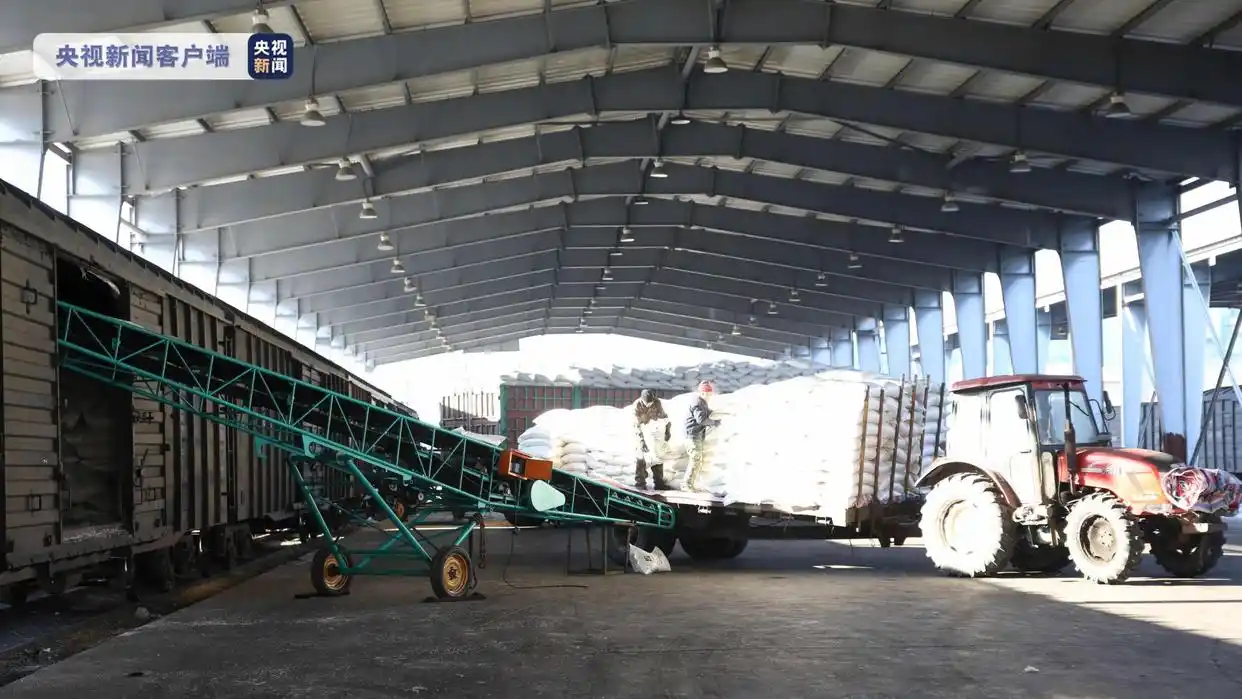 多地调集物资驰援上海，含大米、防护服等抗疫及生活物资