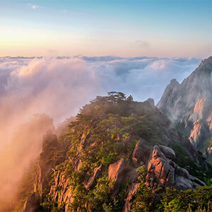 交通违章逾期未处理后果_汽车违章不处理会有什么后果_违章后果