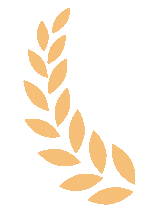 高水平运动队招生条件_高考特长生_山东省2025年高考政策