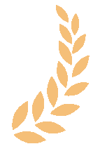 高考特长生_山东省2025年高考政策_高水平运动队招生条件