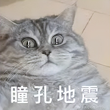 高考特长生_高考取消加分项_高考加分政策解读