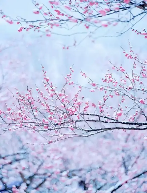 大学考证攻略：2026职场巨变下，这些证书才是就业核心竞争力