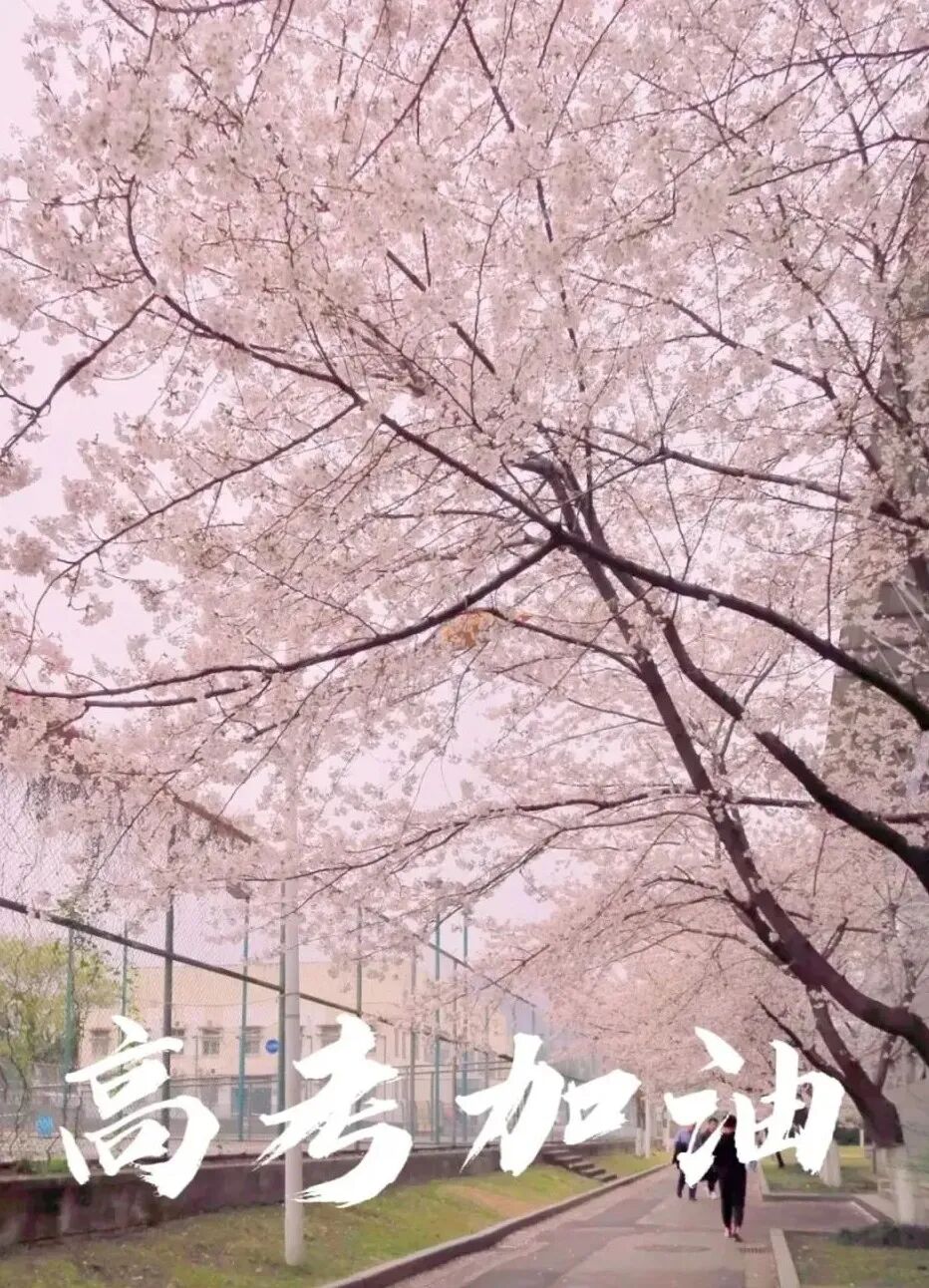 高考数学冲刺技巧_高考备考_高考语文备考策略