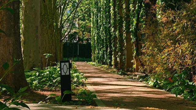 高考生物_2026年高考选专业趋势_未来十年最具发展潜力专业