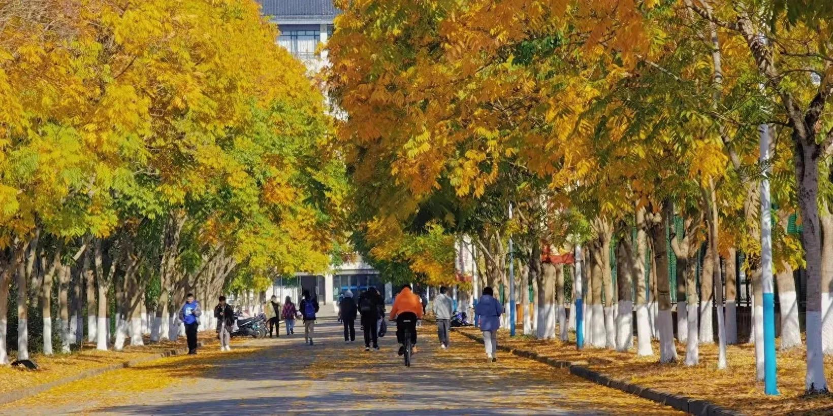 2026 职场招聘变了！大学生必考的硬核证书有哪些？