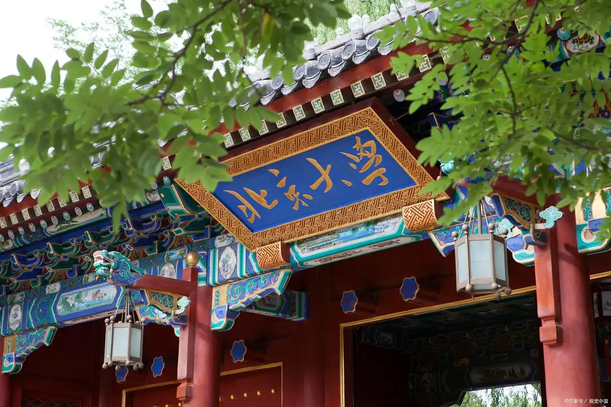 985大学排名2024_大学排名_211大学名单2024