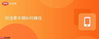 拍违章赚钱的4条盈利路，附官方随手拍操作流程及奖励标准