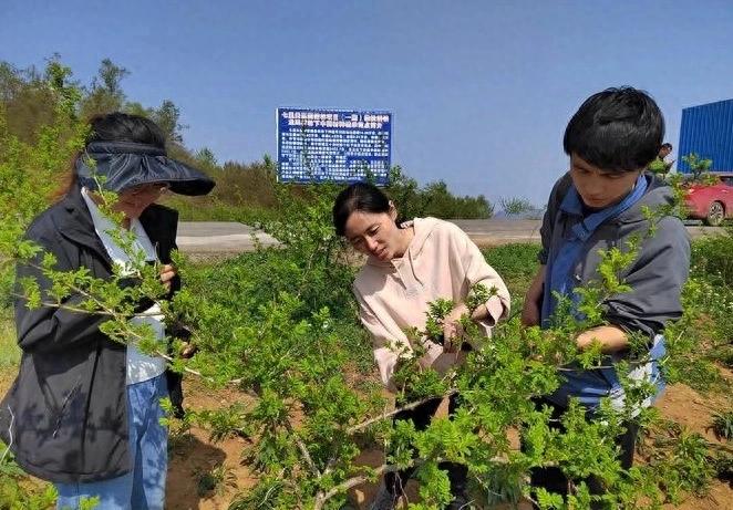 贵州大学科研成果丰硕，大学实验室成果转化助力产业发展