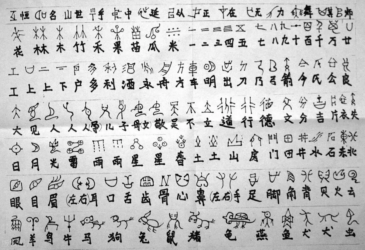 四川高考甲骨文作文_黄蛉甲骨文天才_高考作文