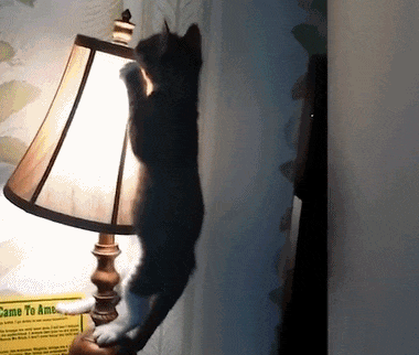 大学生生活费标准_大学食堂_穷养富养孩子差异