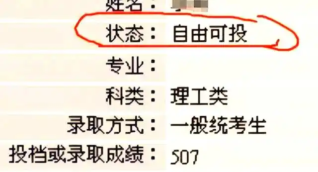 高考录取状态解析_投档与待审_高考录取