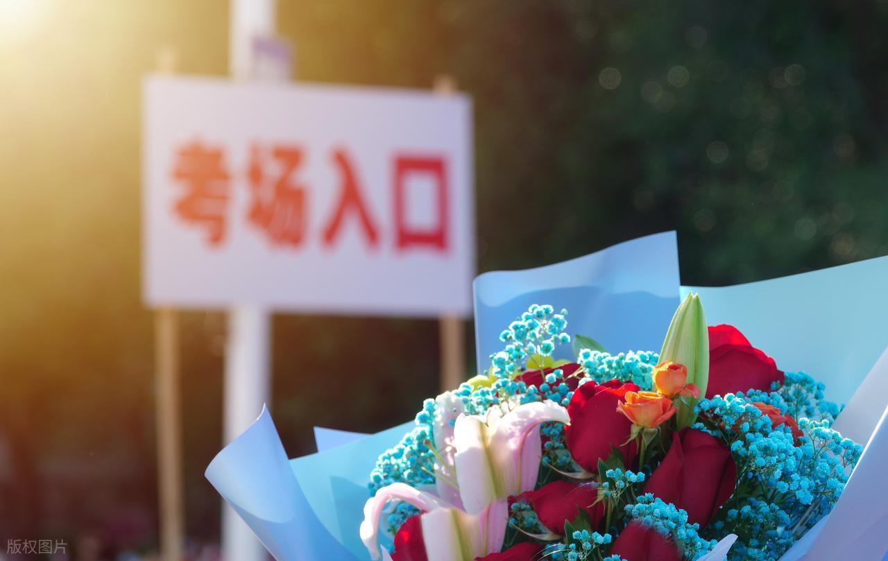 高考志愿填报_分数线_投档线