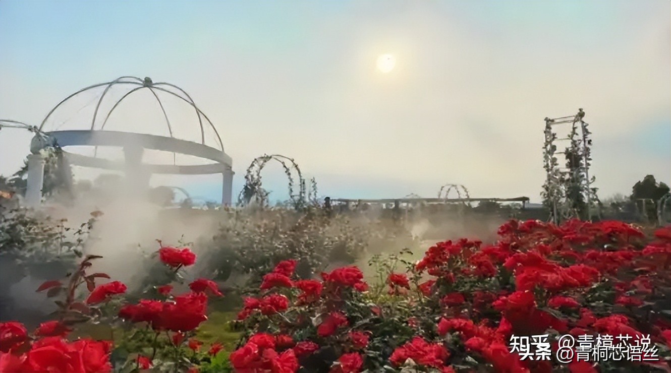 家长如何帮助孩子填报志愿_高考志愿填报_高考志愿填报指南