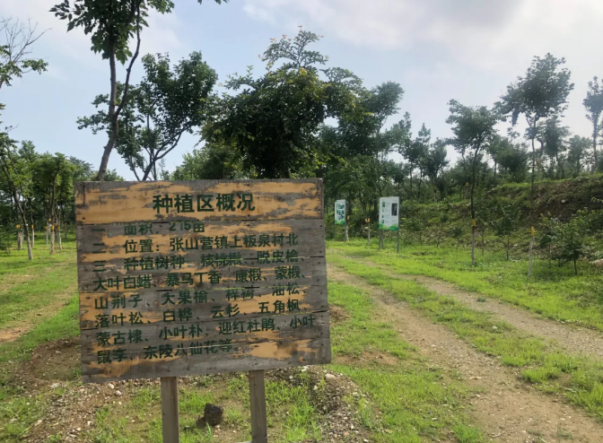 北京冬奥会环保场馆_冬奥会环保理念_绿色冬奥