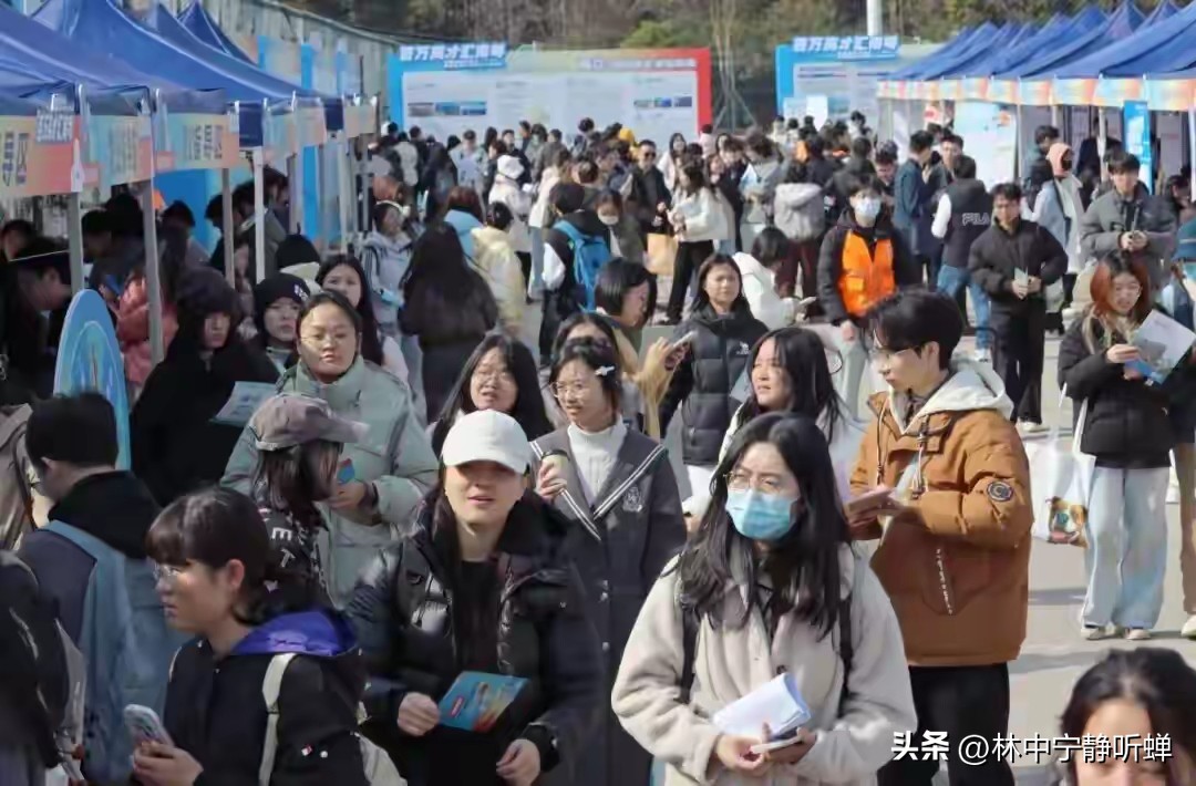 2026届女大学生就业现状分析_女大学生就业性别偏见突破_大学就业