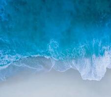 教育局招生网（中国教育网招考生是真的吗）