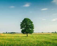 大连警校录取分数线2021（大连警察学校女生录取分数线）