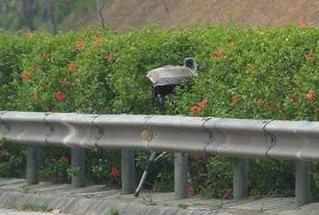 违章摄像头_流动测速摄像头_流动电子警察