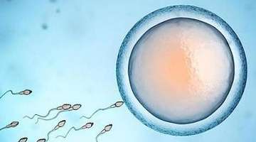 高速交警_实习标志规范细节_实习期上高速陪驾要求