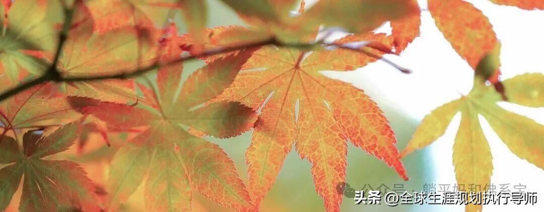 高考真题_题型结构变化分析_2025年高考一卷数学真题解析