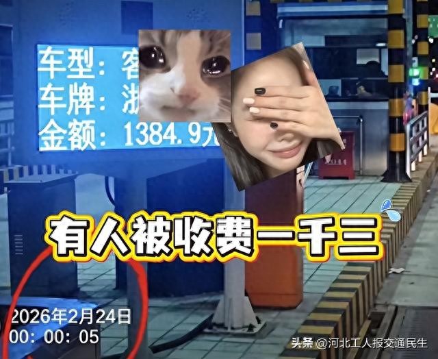 高速节假日免费引乱象，网友建议错峰出行，专家却泼冷水