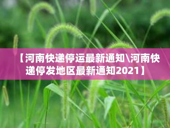 2025年快递停运时间查询！春节、国庆停运安排看这里