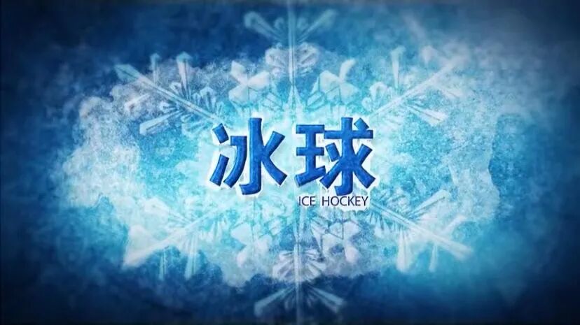 冬奥会比赛项目_冰球比赛规则介绍_冰球运动历史起源